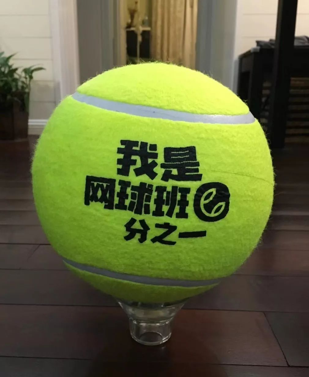 网球积分兑换礼品(图15)